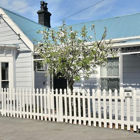 In Dunedin'S Heart, Full House, Full Sun, Full Chill, Why Stay At A Hotel When You Can Afford An Entire House エクステリア 写真